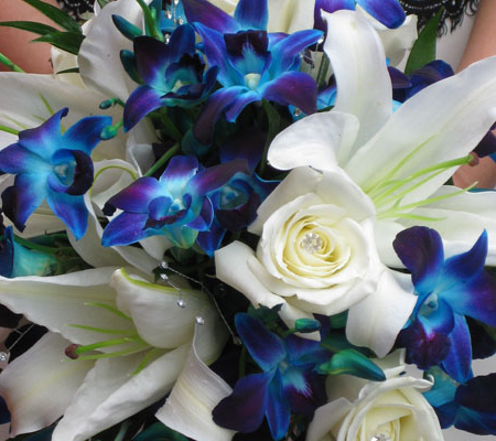 Blue Bouquets