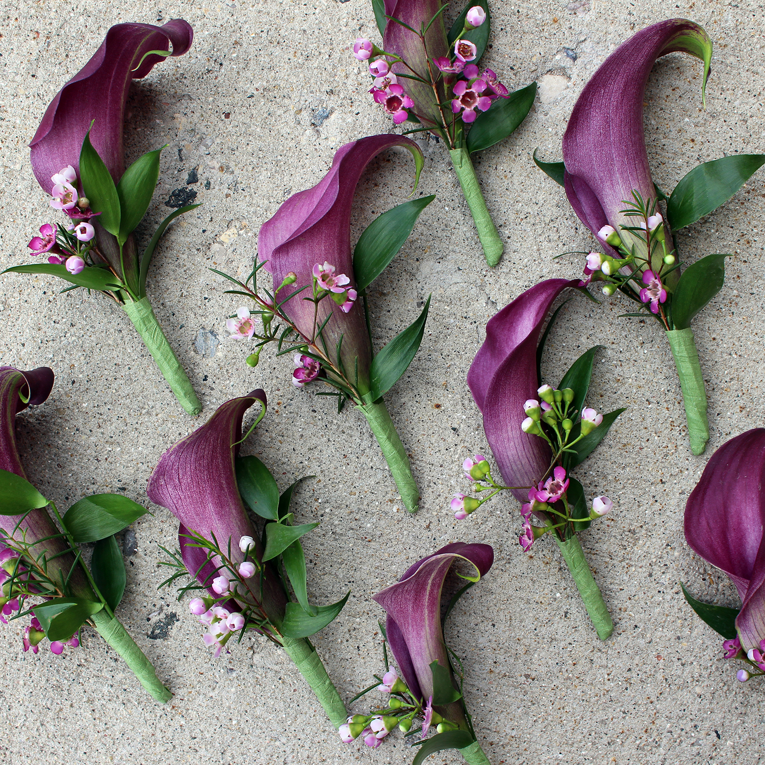 purple and white calla lily boutonniere